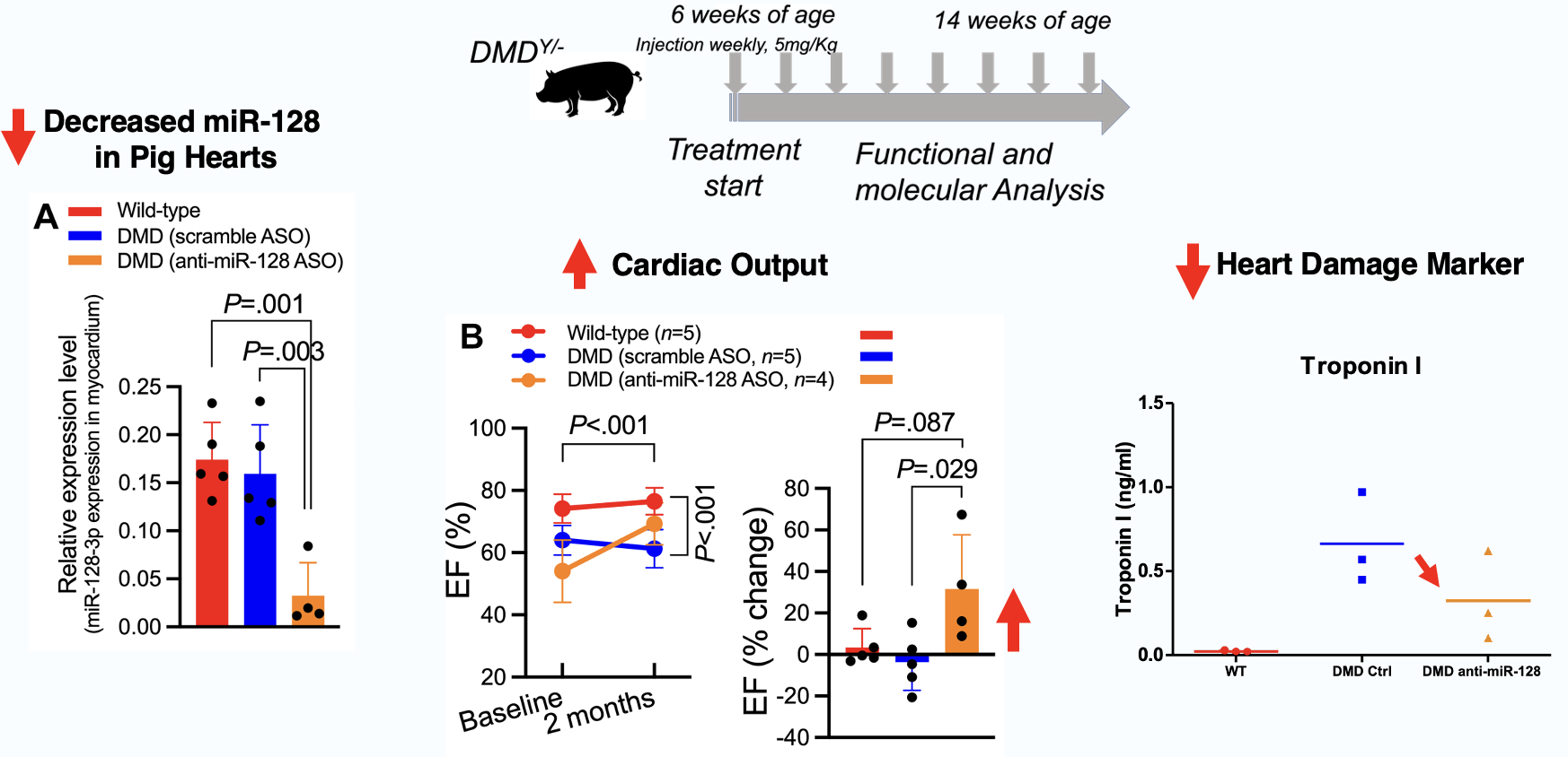 DMD pig cardiac data