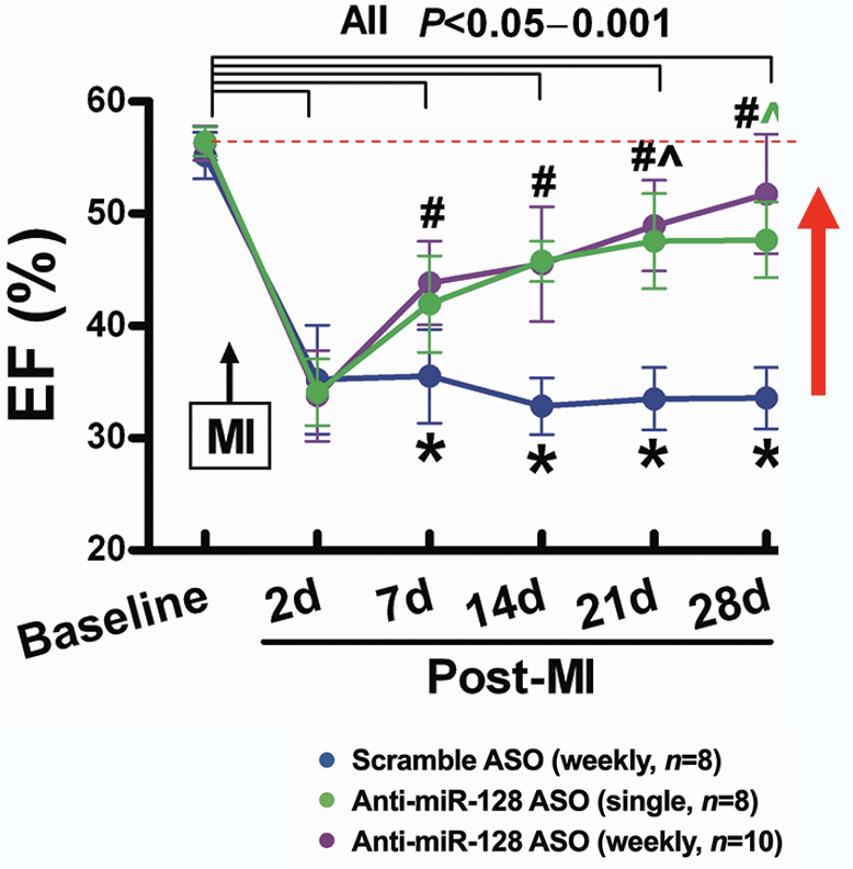 LV ejection fraction time-course