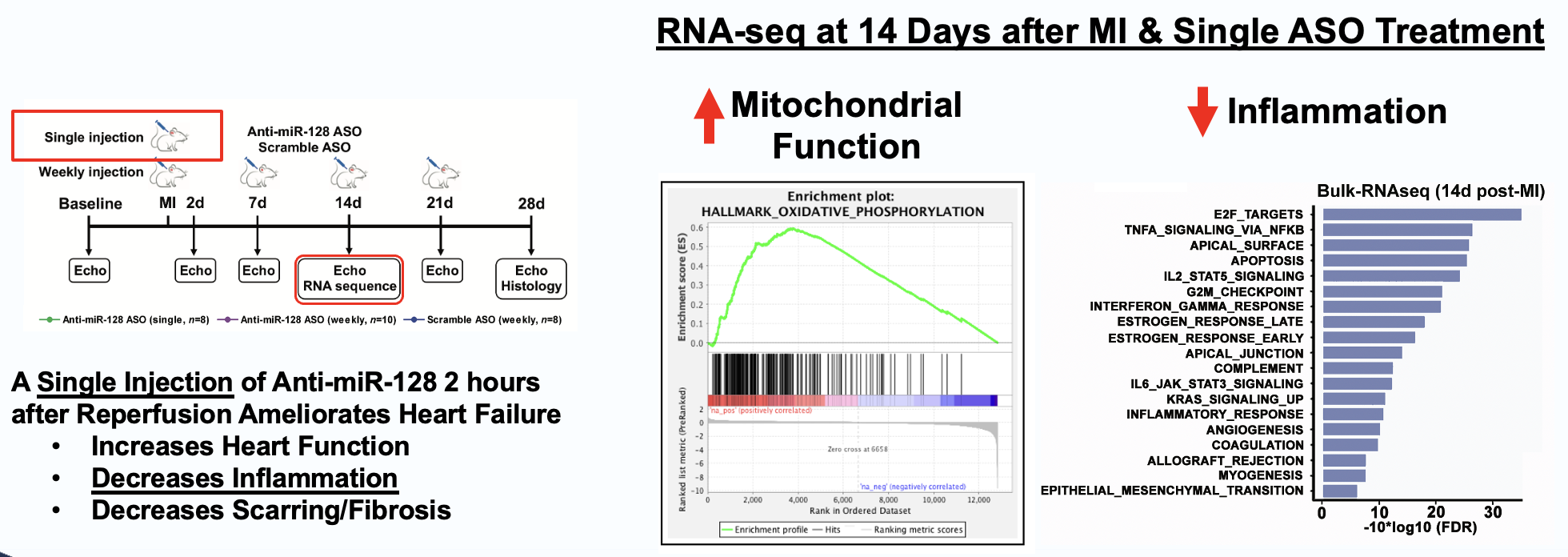 RNA-seq pathway analysis